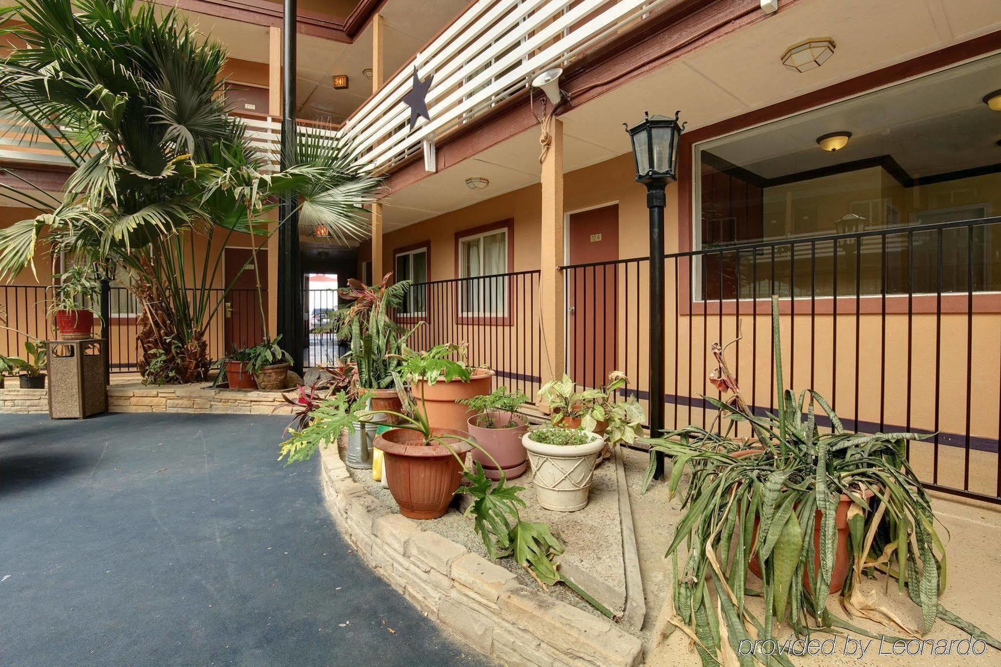 Budget Host Inn Arlington Dış mekan fotoğraf