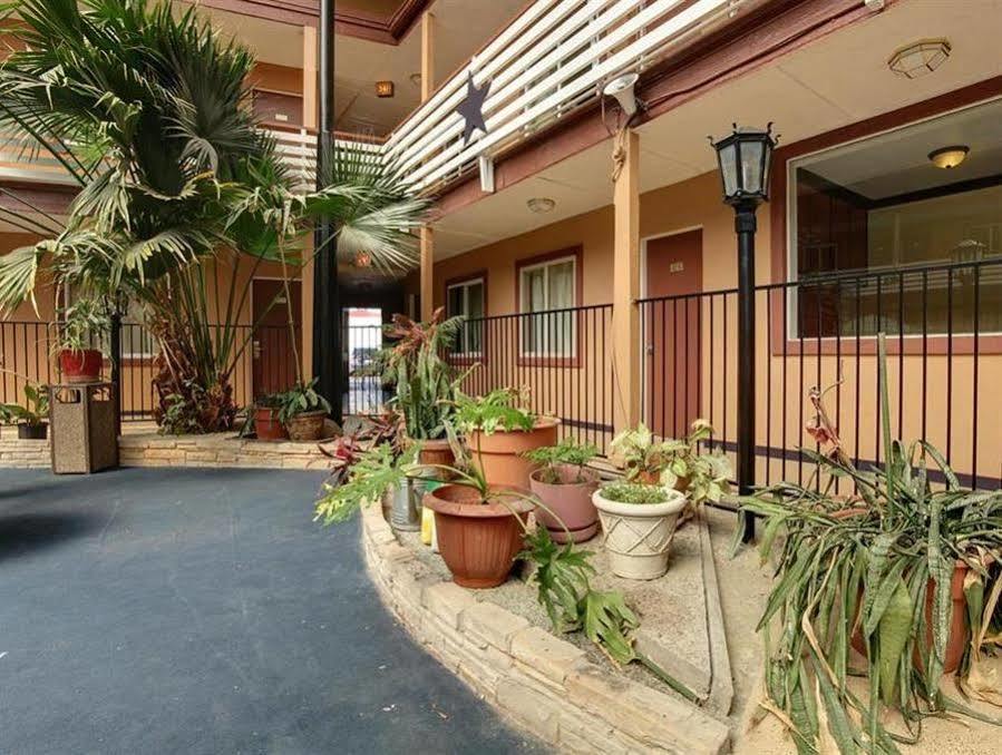 Budget Host Inn Arlington Dış mekan fotoğraf